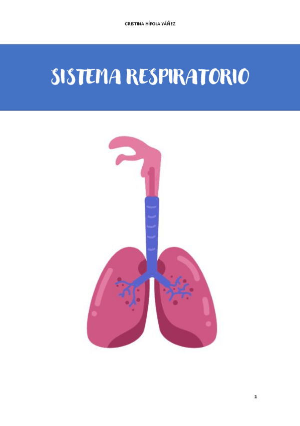 Miniatura del documento SISTEMA-RESPIRATORIO.pdf