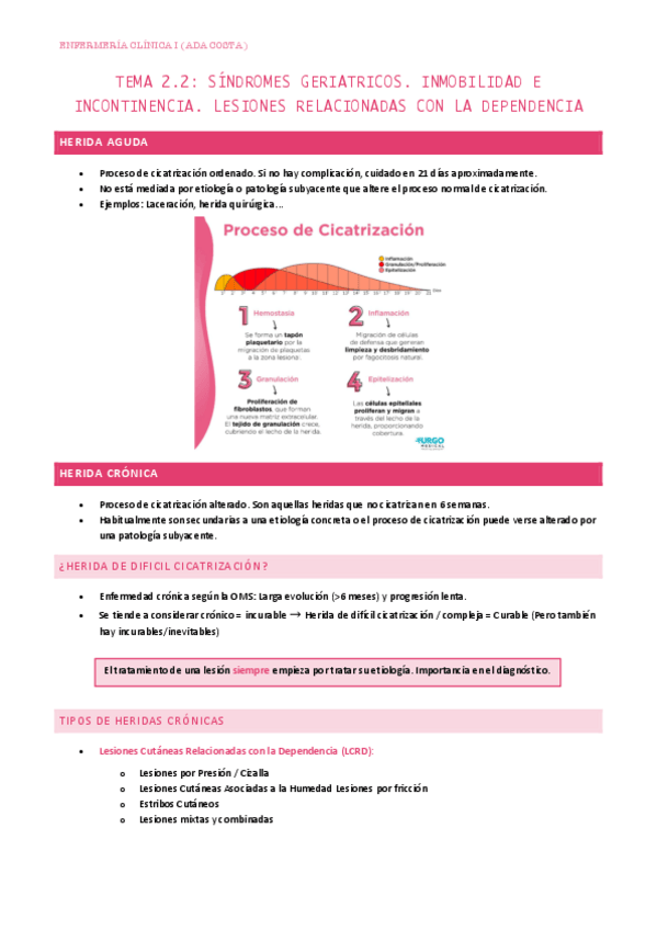 Miniatura del documento 2.2-Sindromes-geriatricos.-Inmobilidad-e-incontinencia.-Lesiones-relacionadas-con-la-dependencia.pdf