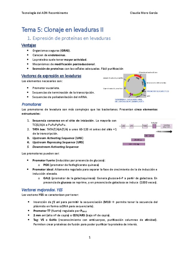 Miniatura del documento Tema-5.2.pdf
