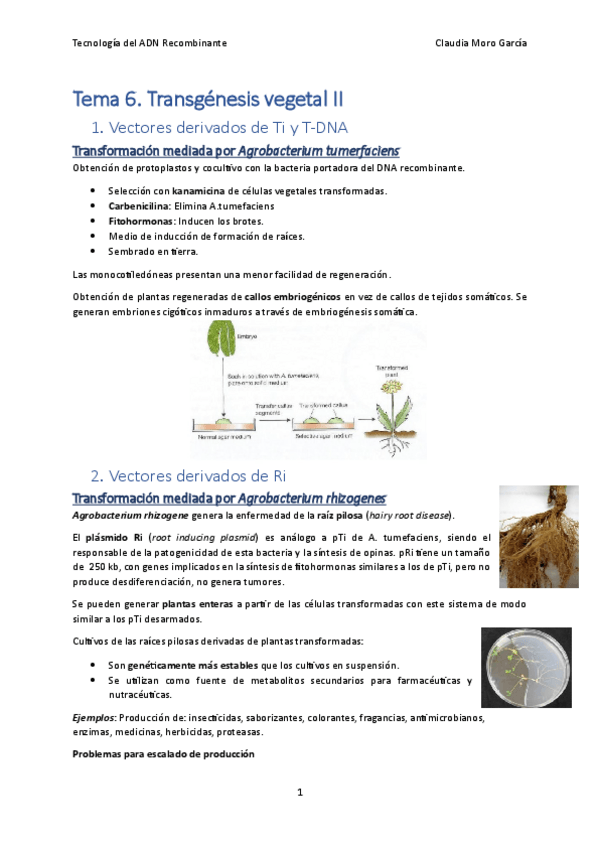Miniatura del documento Tema-6.2.pdf