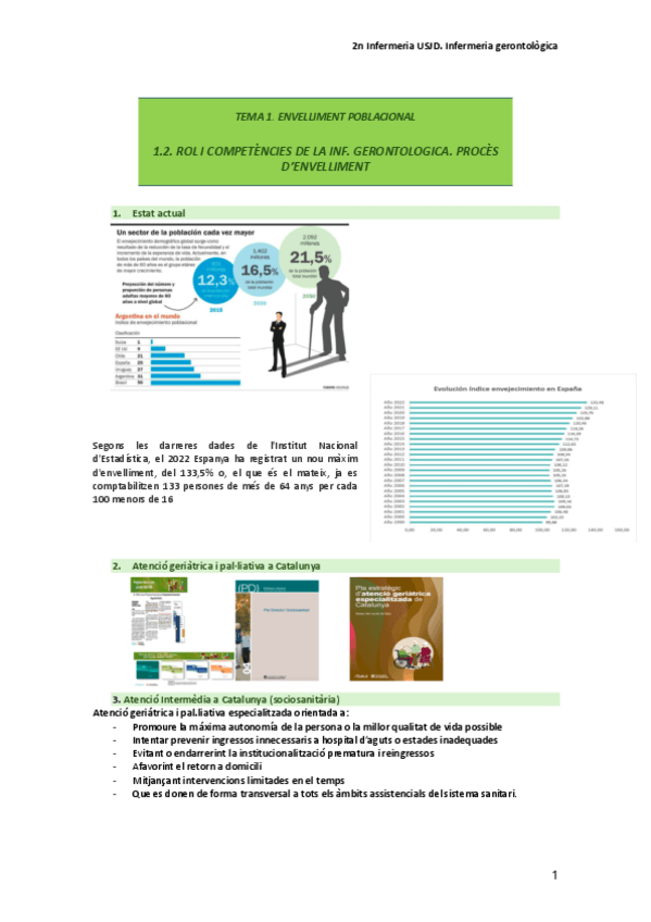 Miniatura del documento TEMA-1.2-rol-i-competencies-de-la-inf-gerontologica.-proces-denvelliment.pdf