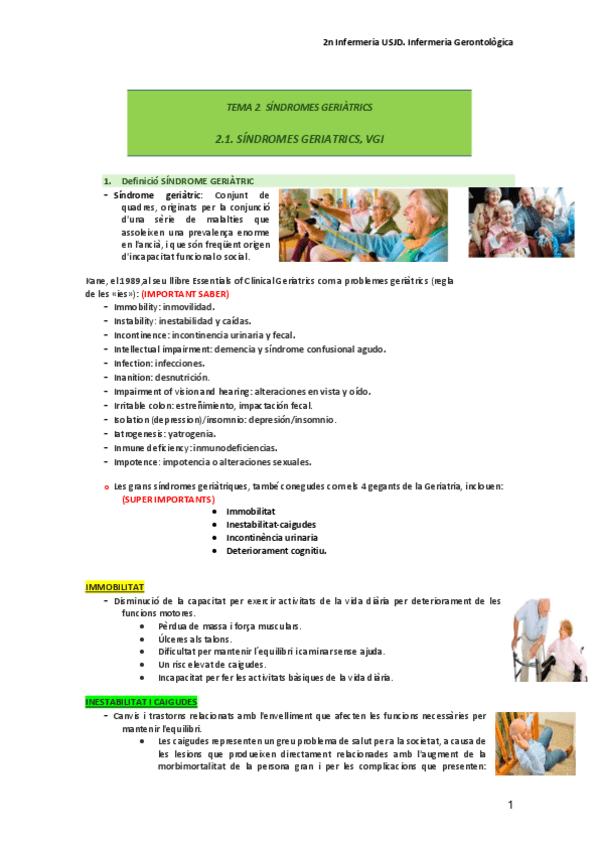 Miniatura del documento TEMA-2.1-sindromes-geriatrics-vgi.pdf