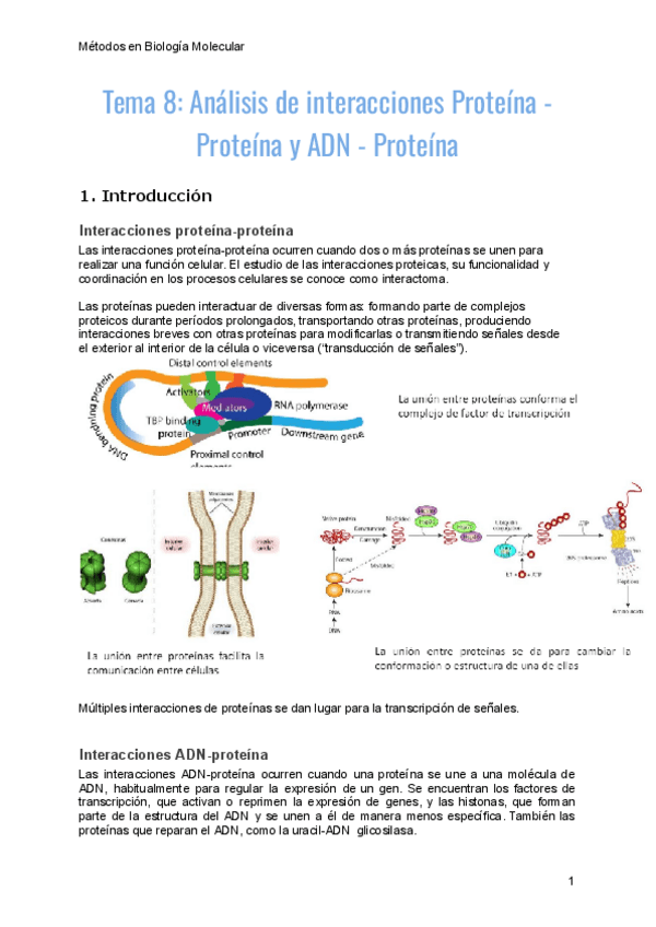 Miniatura del documento tema-8-metodos.pdf