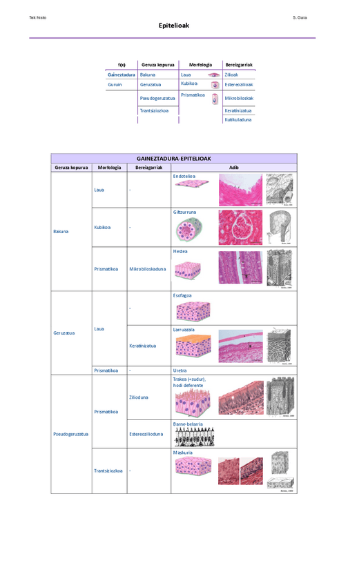 Miniatura del documento Epitelioa.pdf