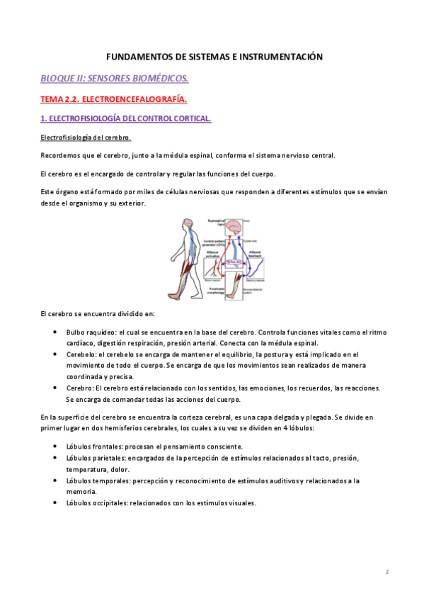 Miniatura del documento Apuntes-tema-2.2.-Electroencefalografia.pdf