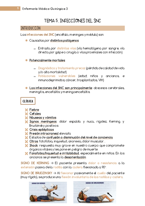 Miniatura del documento Tema-5-MQ3-Neurologia.pdf