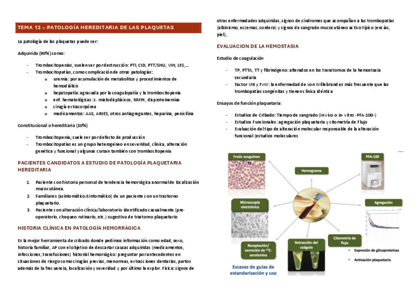 Miniatura del documento TEMA-13.pdf