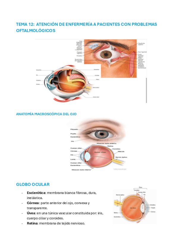 Miniatura del documento Resumen-tema-12-oftalmologia-2PARCIAL.pdf