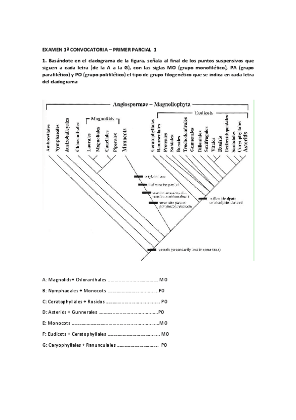 Miniatura del documento primer-parcial-corregido-tipo-1.pdf