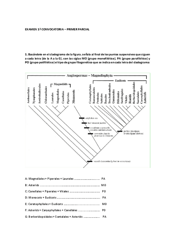 Miniatura del documento primer-parcial-corregido-tipo-2.pdf