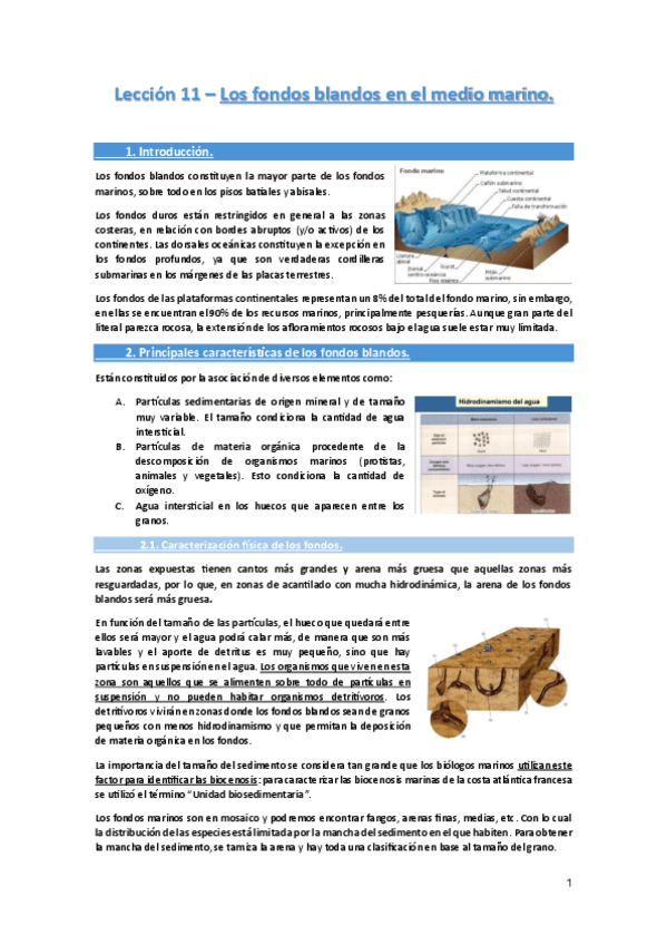 Miniatura del documento Leccion-11-Los-fondos-blandos-del-medio-marino..pdf