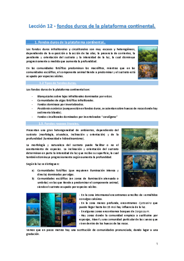 Miniatura del documento Leccion-12-Los-fondos-duros-del-medio-marino..pdf