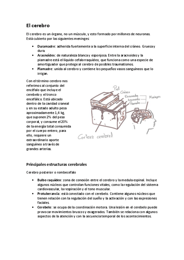 Miniatura del documento Tema-1.pdf