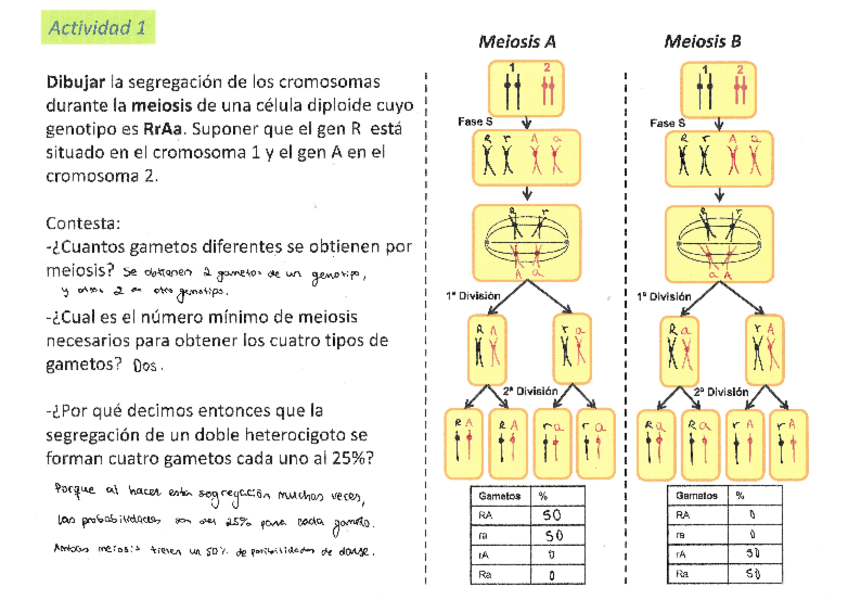Miniatura del documento Actividad-1-Tema-6.pdf
