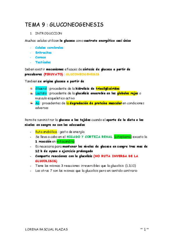 Miniatura del documento TEMA-9-GLUCONEOGENESIS.pdf