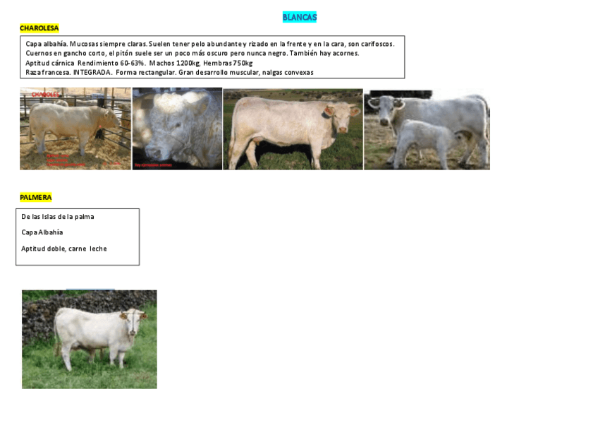 Miniatura del documento Practico-vacas.pdf