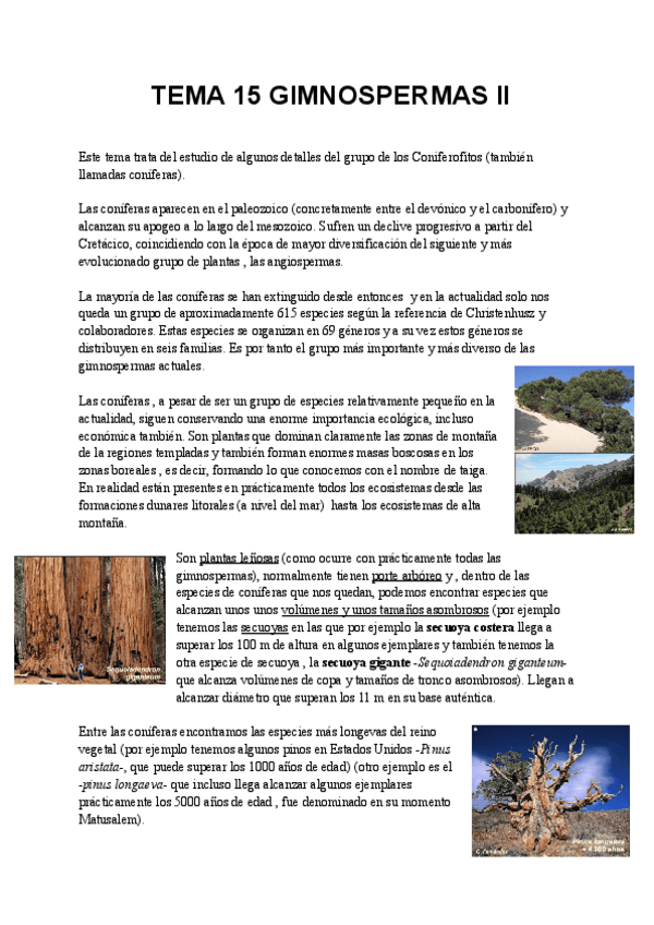Miniatura del documento TEMA-15-GIMNOSPERMAS-II.pdf