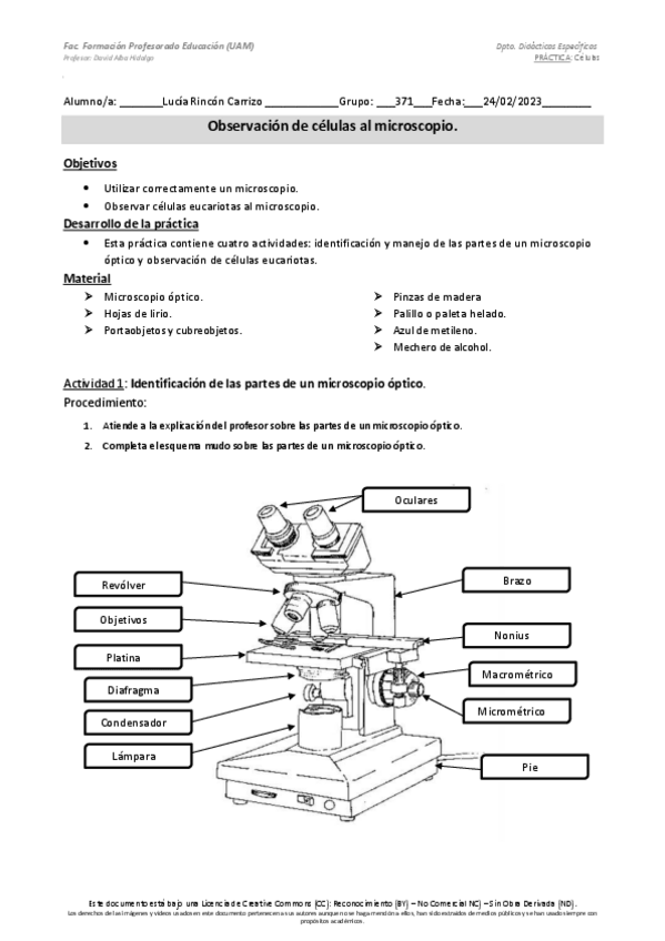 Miniatura del documento Practica-1-laboratorio-Lucia-Rincon.pdf