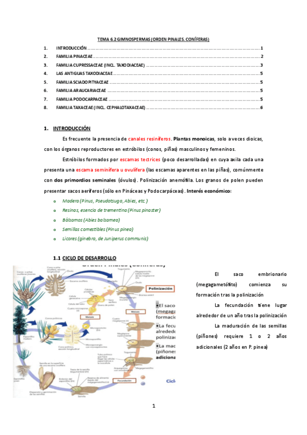 Miniatura del documento TEMA-6.2.pdf