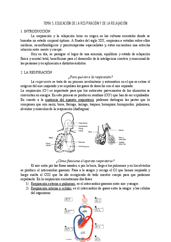 Miniatura del documento TEMA-5-EF-de-Base.pdf