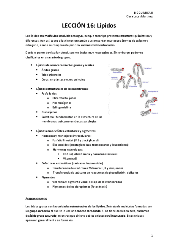 Miniatura del documento LECCION-16.-Lipidos.pdf