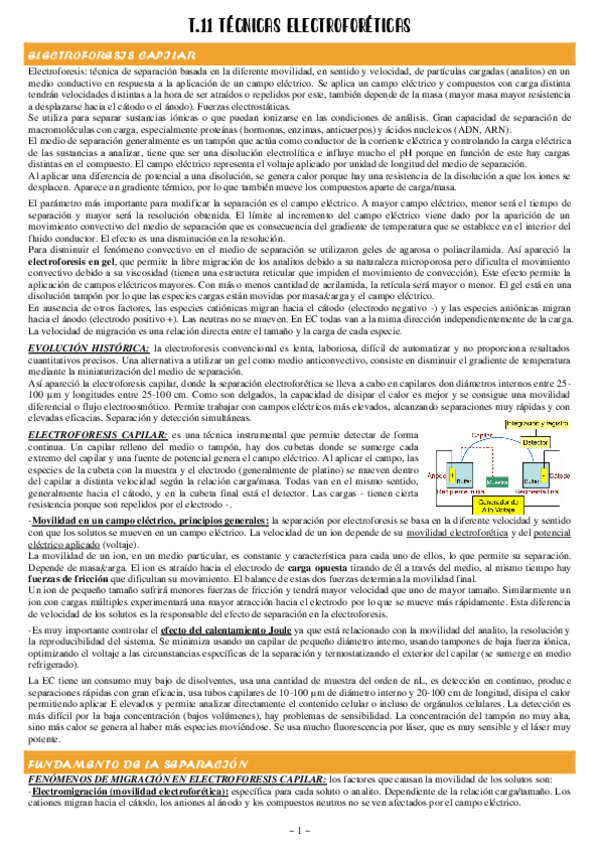 Miniatura del documento 11-Electroforesis-Capilar-CE.pdf