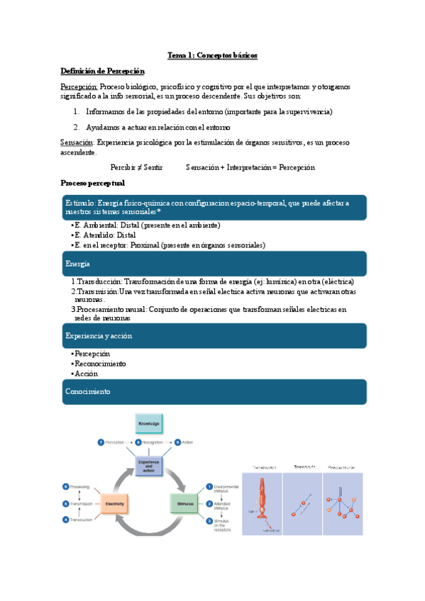 Miniatura del documento Tema-1-Psicologia-de-la-Percepcion.pdf