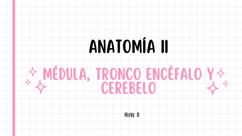 Miniatura del documento Práctica 4-Medula-tronco-encefalo-y-cerebelo-Anatomia-II.pdf