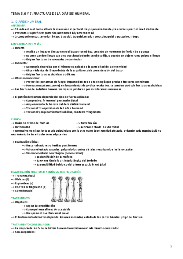 Miniatura del documento TEMA-5-6-Y-7-AFECCIONES.pdf