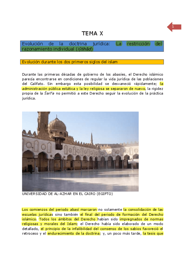 Miniatura del documento TEMA XI DER ISL.pdf