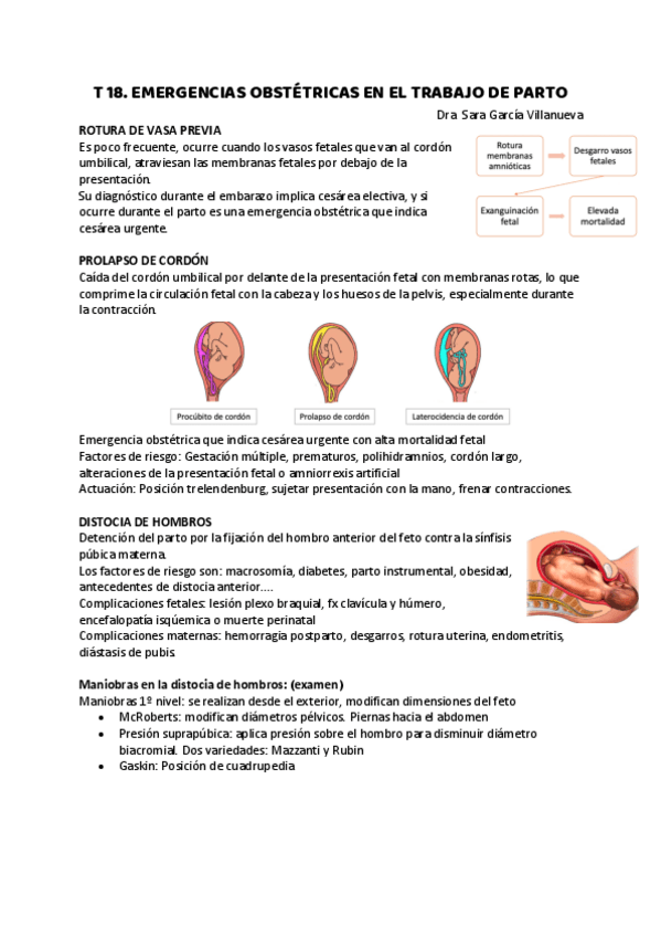 Miniatura del documento T-18.-EMERGENCIAS-OBSTETRICAS-EN-EL-TRABAJO-DE-PARTO.pdf