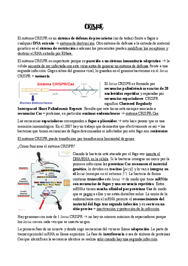 Miniatura del documento Sem-6.-CRISPR.pdf