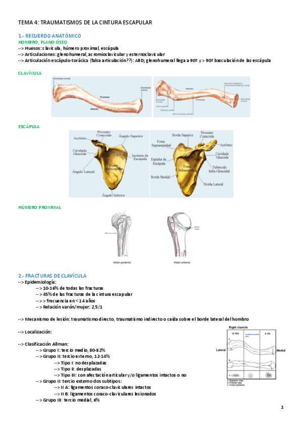 Miniatura del documento TEMA-4-AFECCIONES.pdf