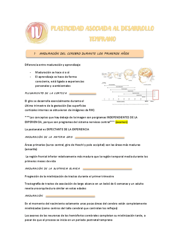 Miniatura del documento TEMA-4-PSICOBIOLOGIA.pdf