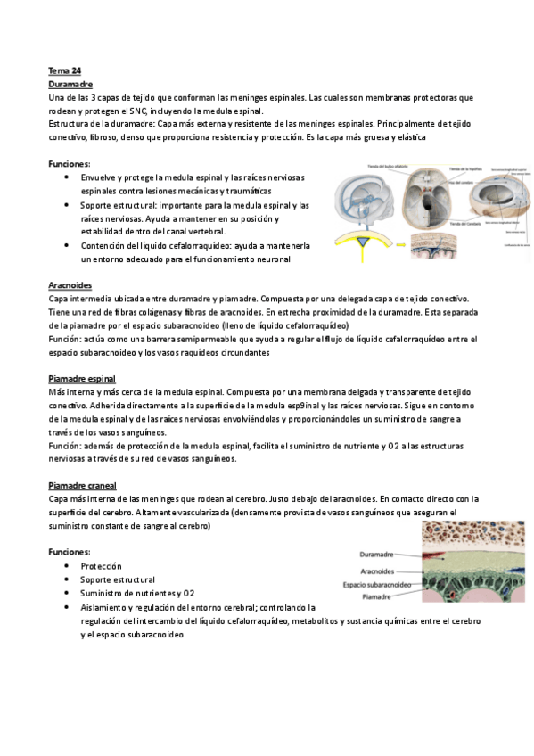 Miniatura del documento Tema-24.pdf