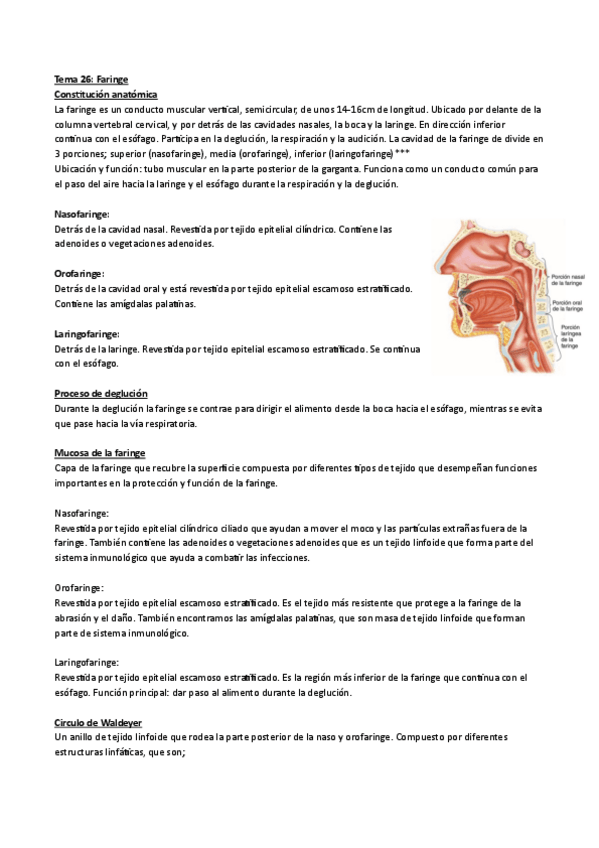 Miniatura del documento Tema-26.pdf