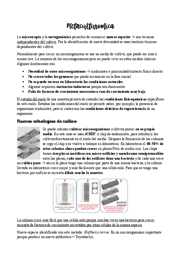 Miniatura del documento Sem-7.-Metaculturomica.pdf