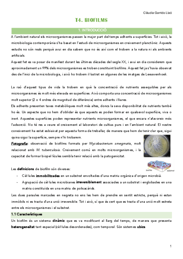 Miniatura del documento 2n-parcial-AMB-Claudia.pdf