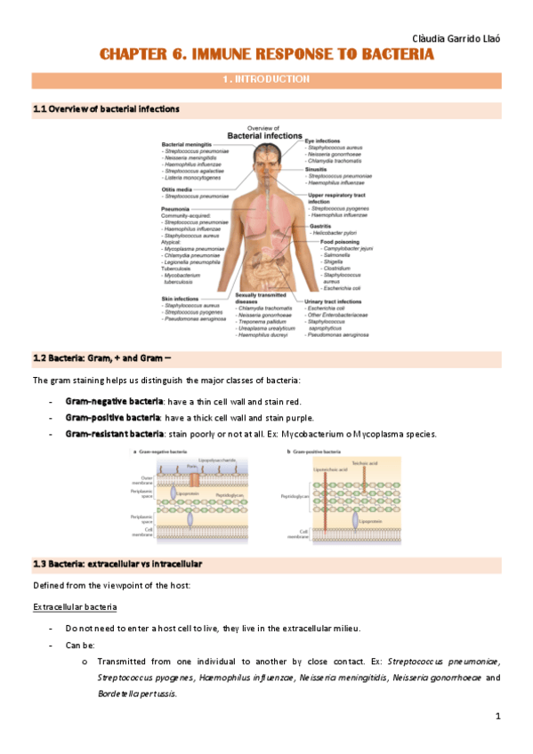 Miniatura del documento immuno-segon-parcial.pdf
