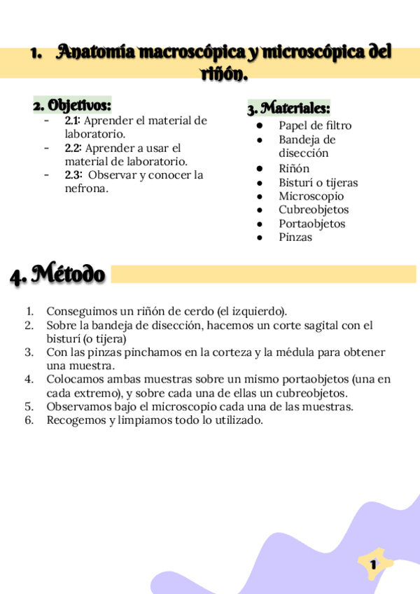 Miniatura del documento Anatomía-del-riñón.pdf