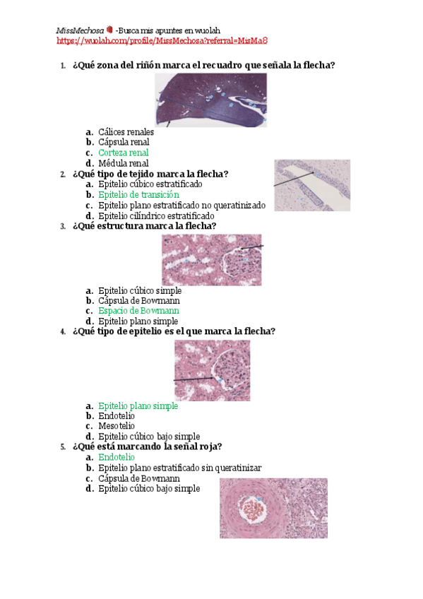Miniatura del documento TEST-PRACTICA-2-RINON.pdf