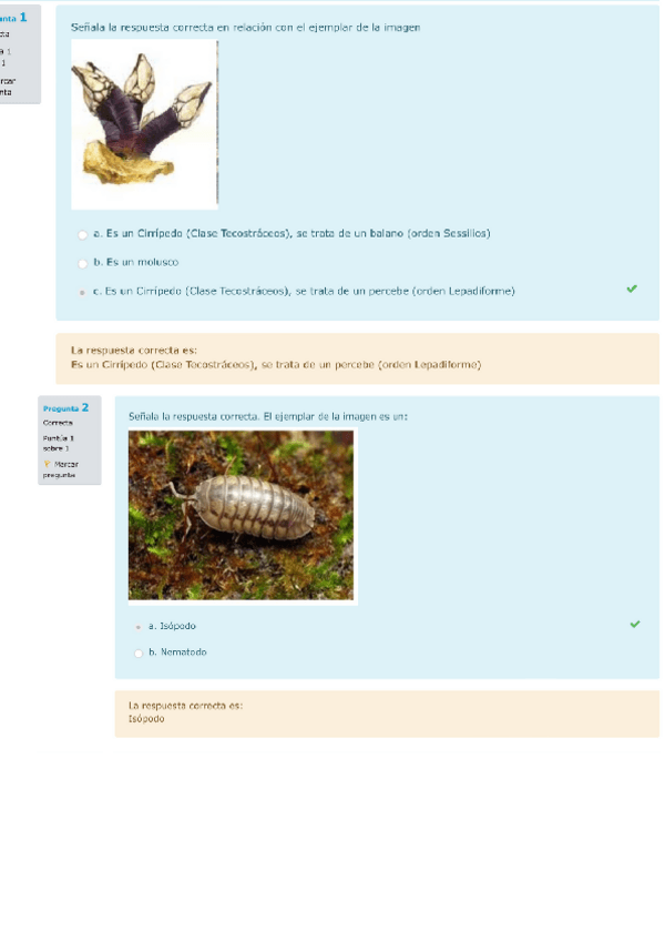 Miniatura del documento Cuestionario-4-Nematodos-queliceros-y-crustaceos.pdf