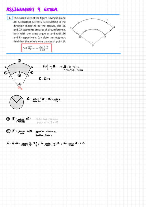 Miniatura del documento Exercises-Assignment-9-Extra-Biot-Savarts-Law.pdf
