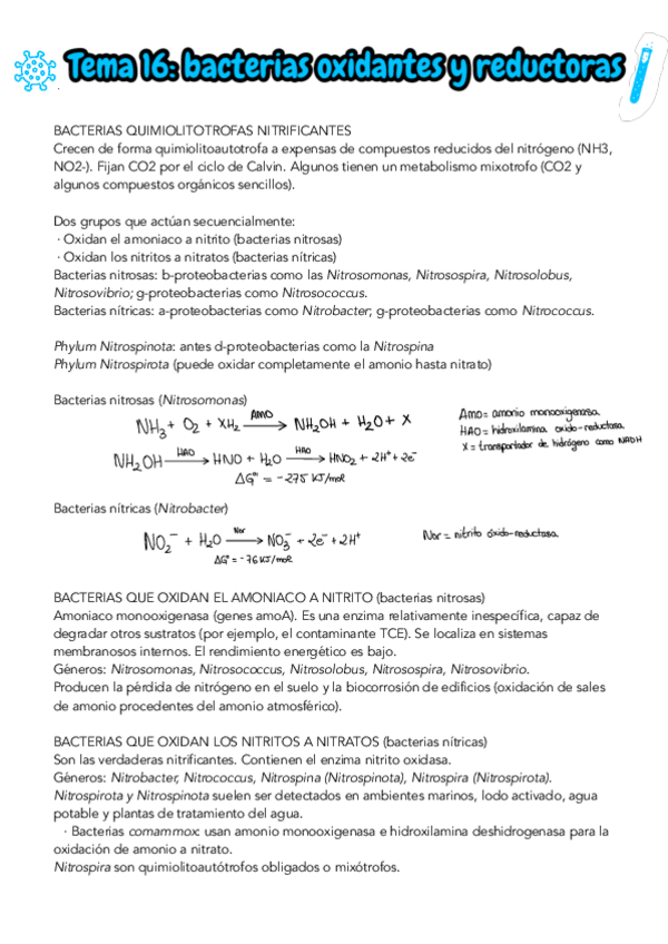 Miniatura del documento TEMA-16-MICRO-II.pdf