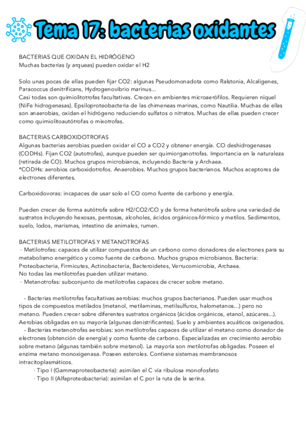 Miniatura del documento TEMA-17-MICRO-II.pdf