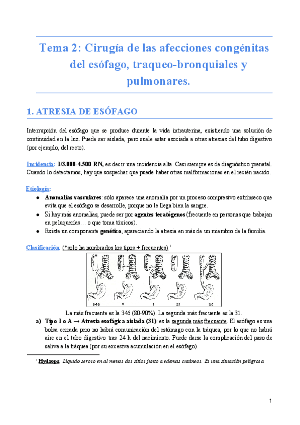 Miniatura del documento Neumo Tema 02.pdf