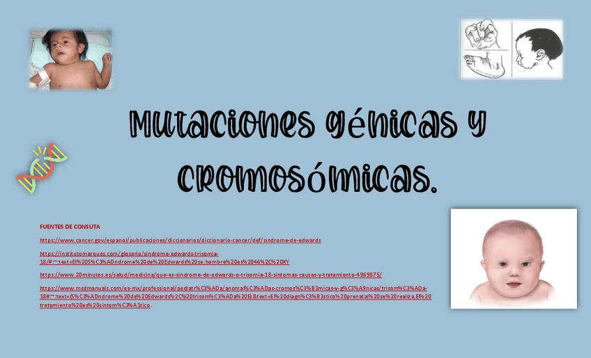 Miniatura del documento Mutaciones-genicas-y-cromosomicas..pdf