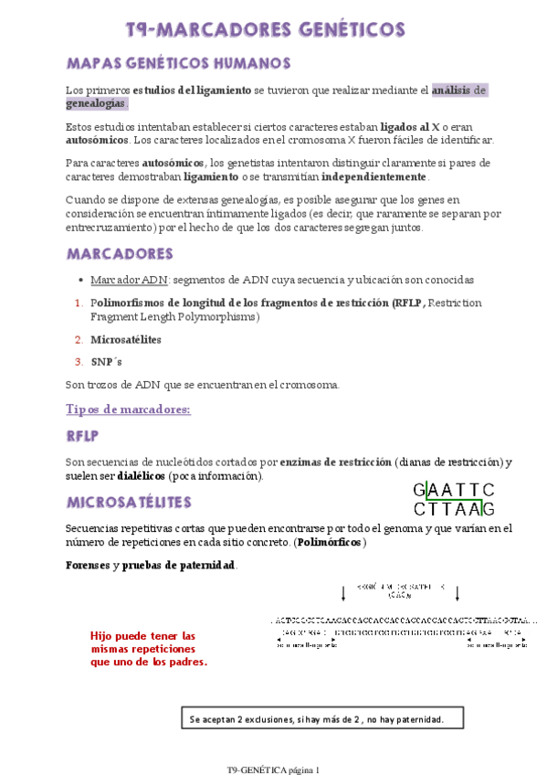 Miniatura del documento T9-GENETICA.pdf