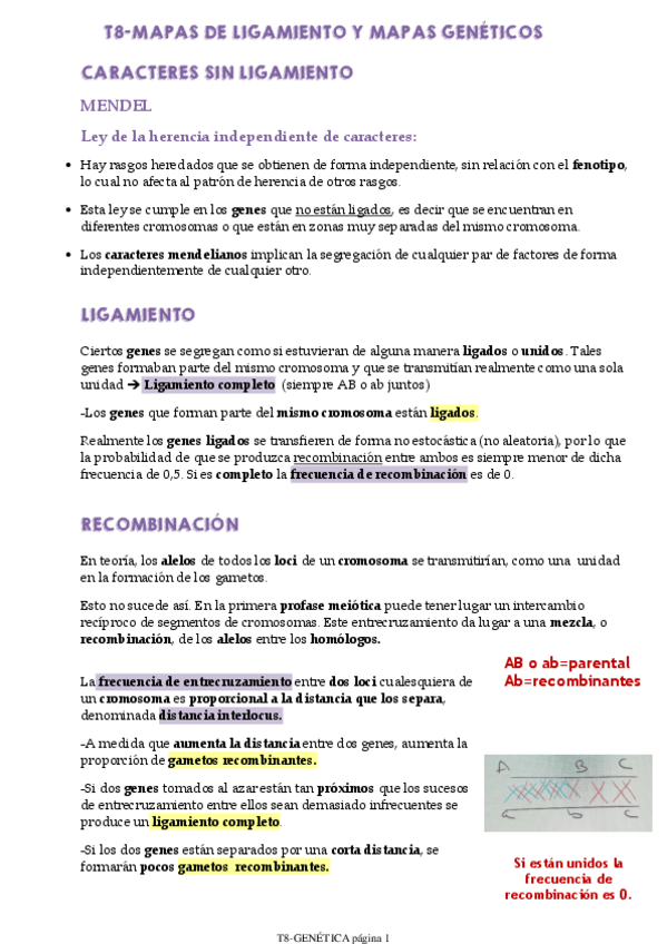 Miniatura del documento T8-GENETICA.pdf