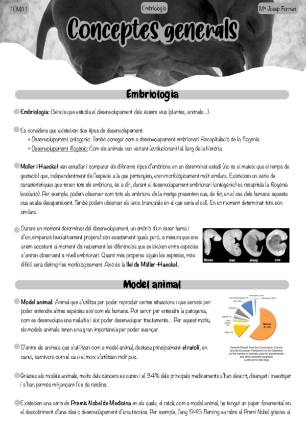 Miniatura del documento Apunts-Embriologia-23-24.pdf